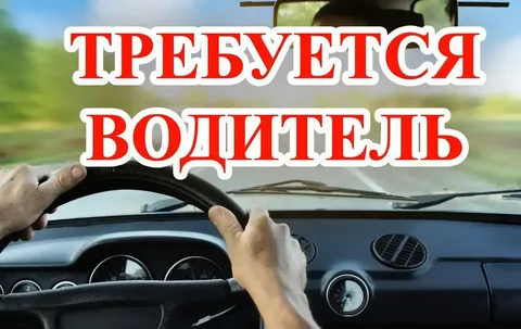 Водитель автомобиля